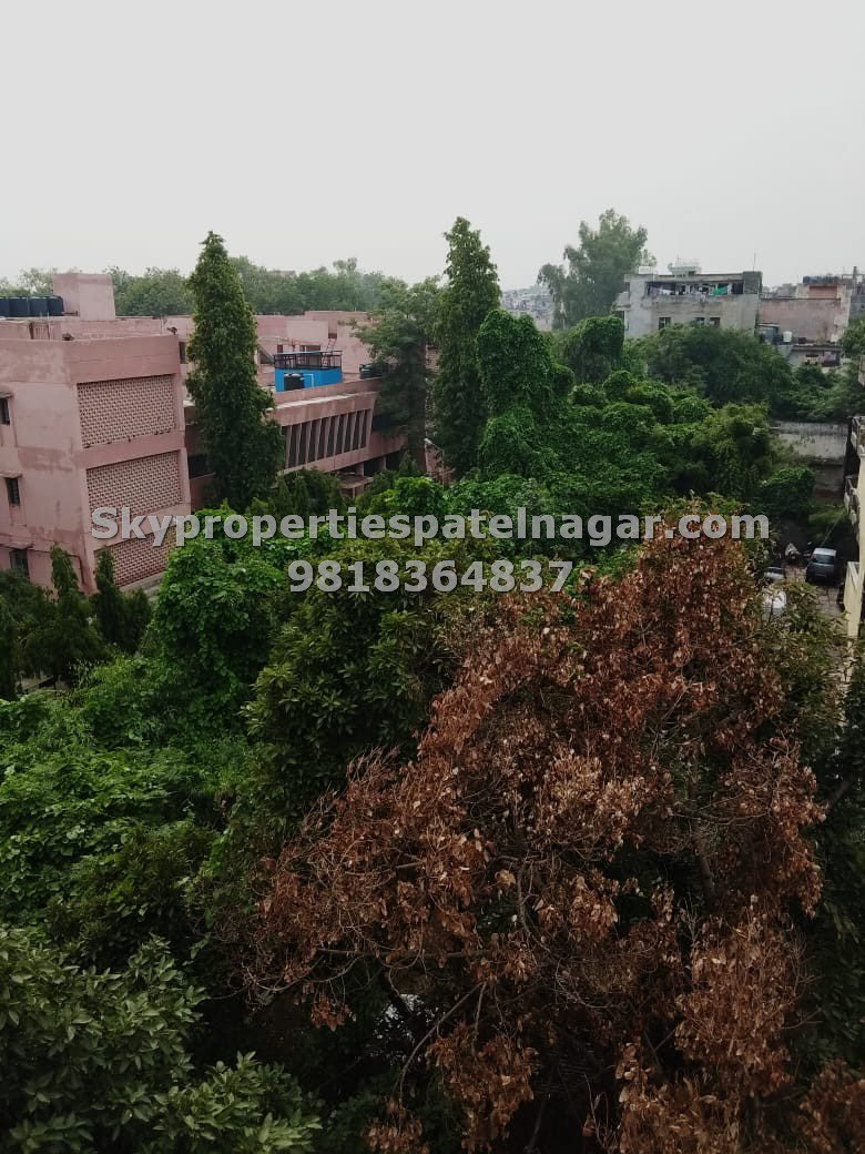 1 BHK Flats for Rent in Patel Nagar West, New Delhi - Single Bedroom