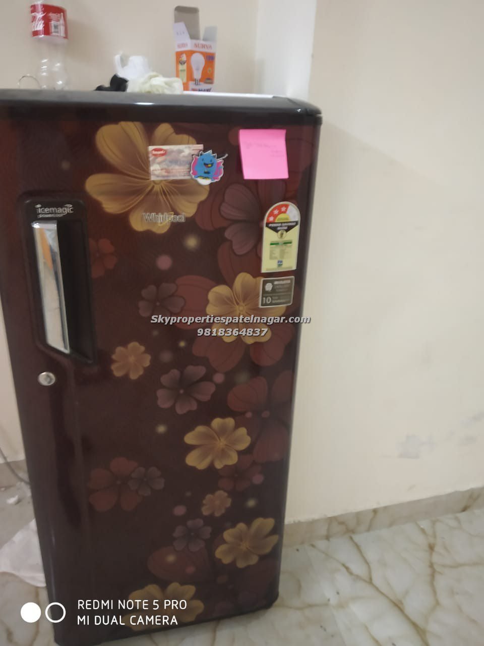 1 Bhk near vajiram and ravi institute Delhi