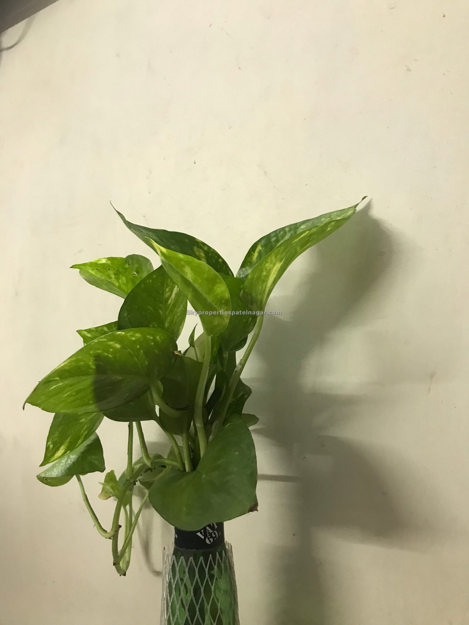 1 Bhk Near Patel Nagar Metro Station Delhi